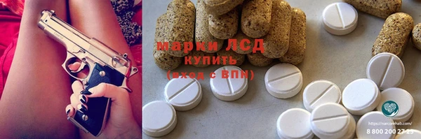 прущие грибы Богородск