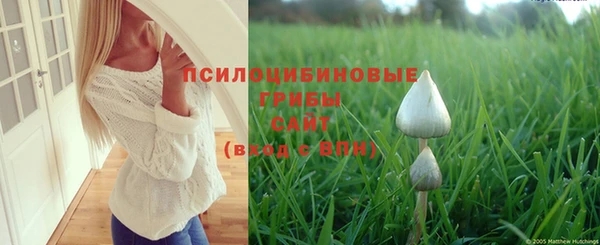 скорость Богородицк