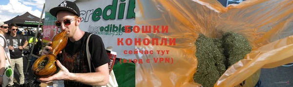 крисы Богданович