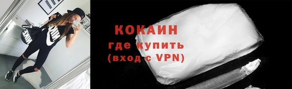 прущие грибы Богородск