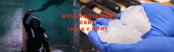 прущие грибы Богородск