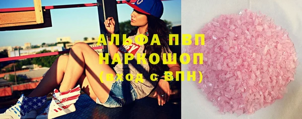 прущие грибы Богородск