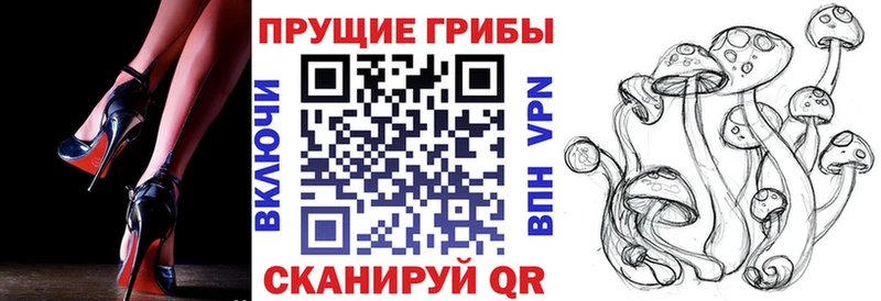 Галлюциногенные грибы Cubensis  нарко площадка клад  Болотное  hydra ССЫЛКА 